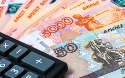 прожиточный минимум